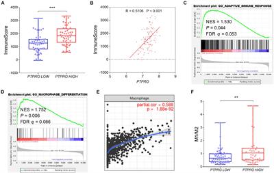 Tumor-Derived Exosomal Protein Tyrosine Phosphatase Receptor Type O Polarizes Macrophage to Suppress Breast Tumor Cell Invasion and Migration